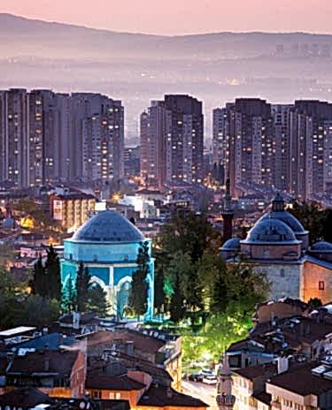 Bursa